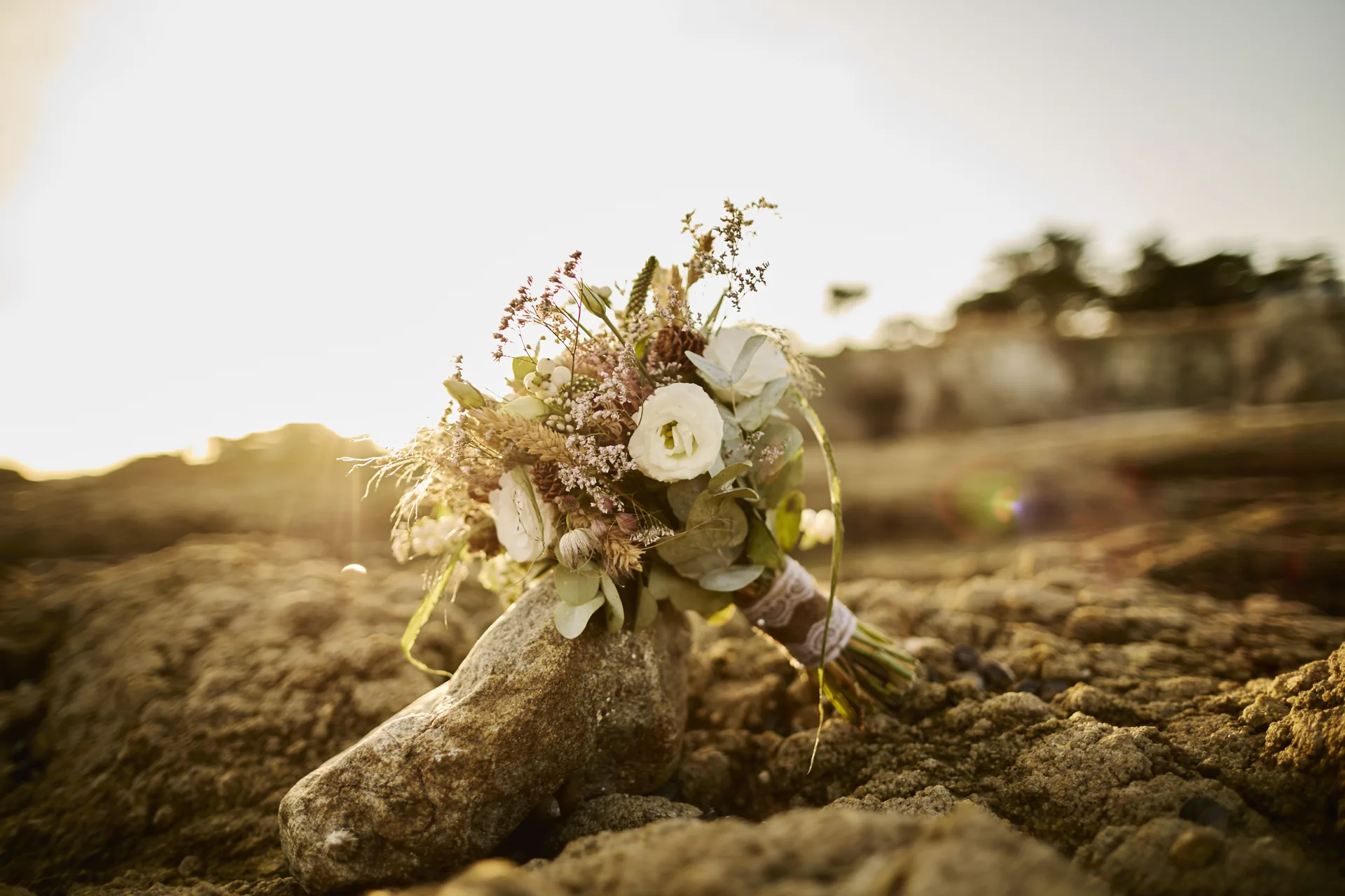 Un bouquet de fleurs posé sur un rocher dans un paysage ensoleillé