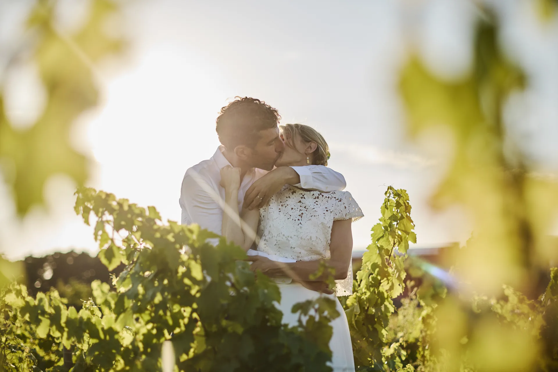 Un couple s'embrasse dans un champ de vigne au coucher du soleil